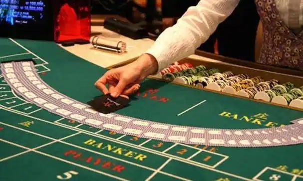 3638 bet